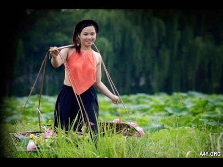 Chuyên gia Hotspot Matrix phân tích: Toàn bộ thông tin về BIGFA - và marketing video