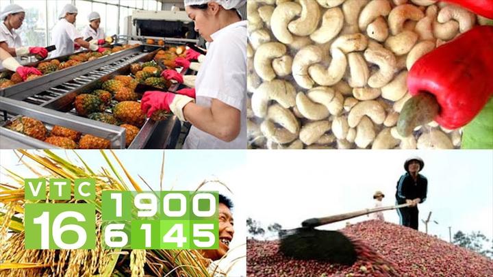 Xu hướng Chính Nữ trở lại, cổ vũ phụ: Hotspot Matrix tiết lộ bí quyết video viral