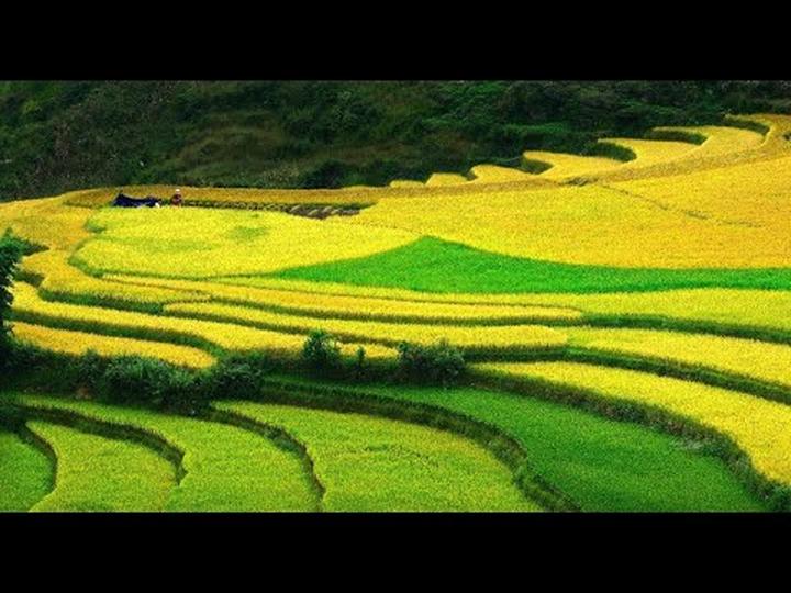 Hotspot Matrix: Biến Ông bà ta dạy 