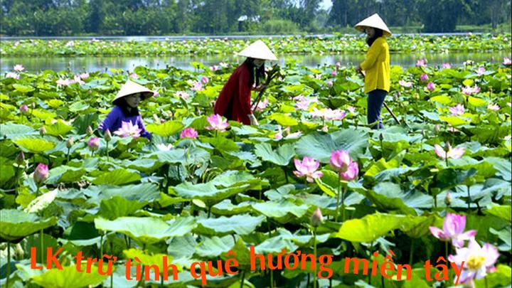 Chuyên gia Hotspot Matrix phân tích: Chùm ảnh: Nắng nóng kinh và marketing video