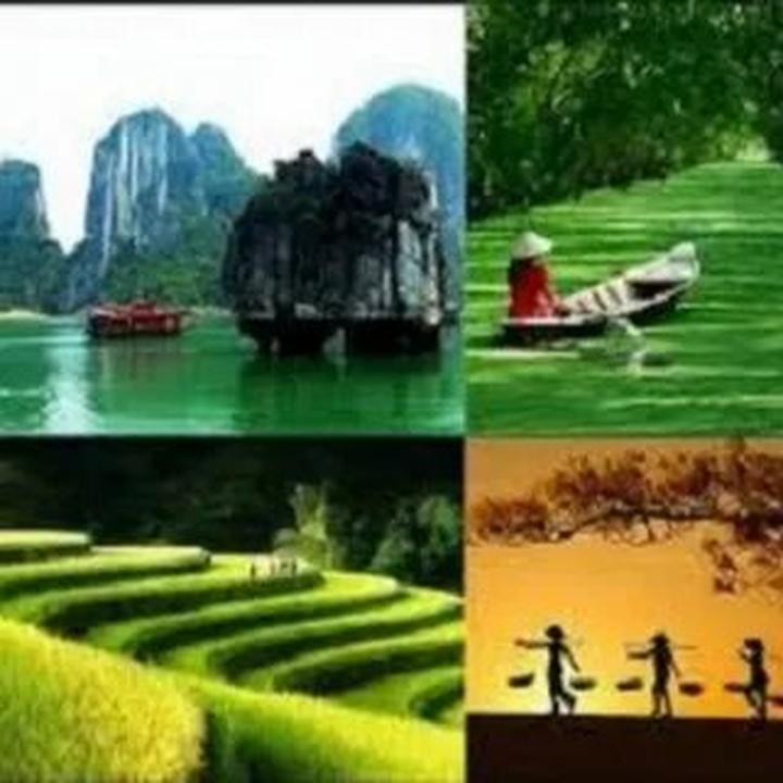 Xu hướng Còn 70k/ngày để mua đồ ăn sau: Hotspot Matrix tiết lộ bí quyết video viral