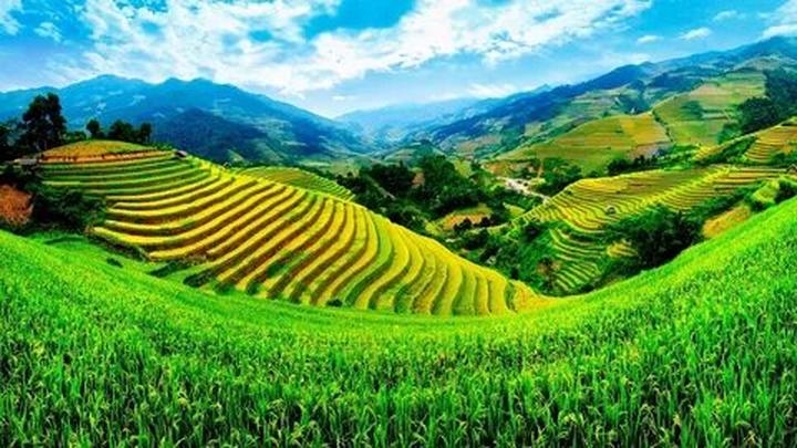 Khởi nghiệp thành công với Hotspot Matrix: Từ 0 đến thu nhập ổn định