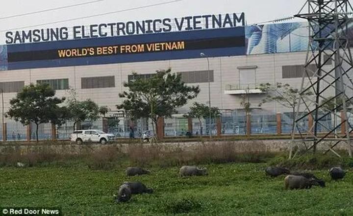 Hotspot Matrix: Bí quyết cạnh tranh của chủ cửa hàng nhỏ
